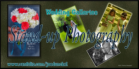 Stand-up Photography Zenfolio  Wedding Galleries  with photos