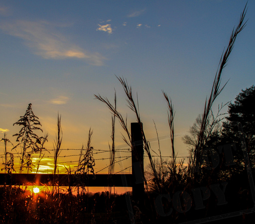 Sunset under the fence_